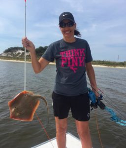 cownose sting ray