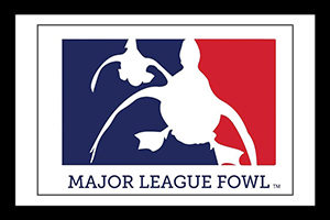 major league fowl sponsor